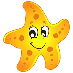 Mini-Miracles Classrooms: Starfish